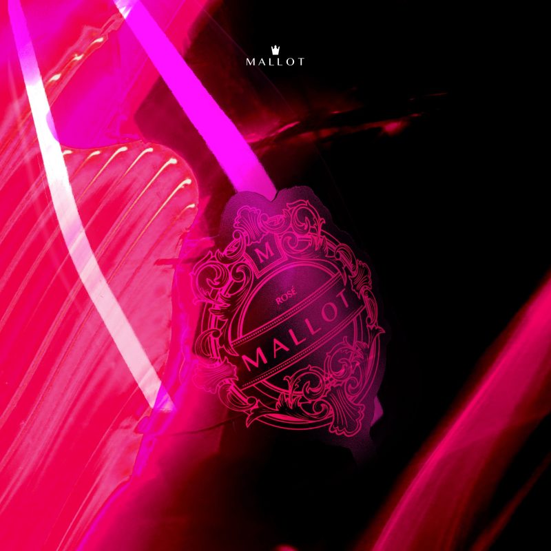 351128065 1415585132559837 320610959828524514 n