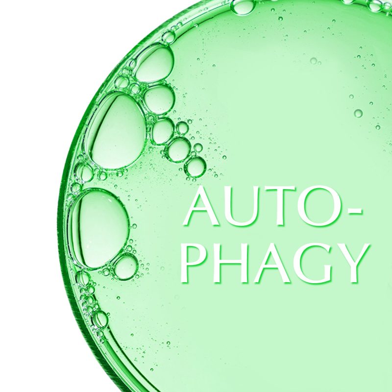 414703309 691898649761414 5343976175031428791 n